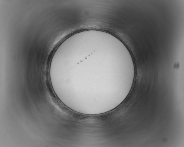 X0000113150578200910021504