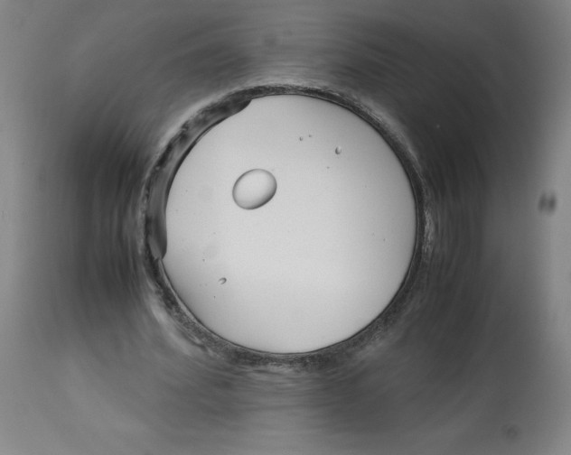 X0000113150580200910021504