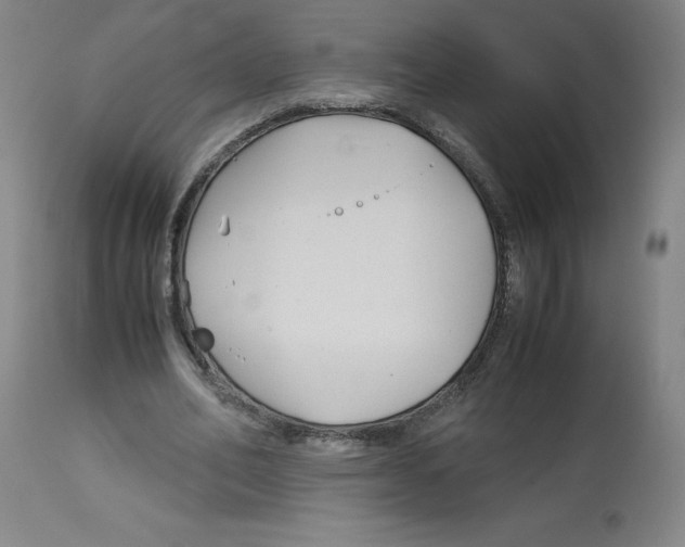 X0000113150582200910021504