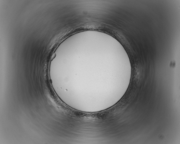 X0000113150586200910021504