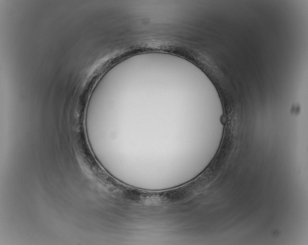 X0000113150587200910021504