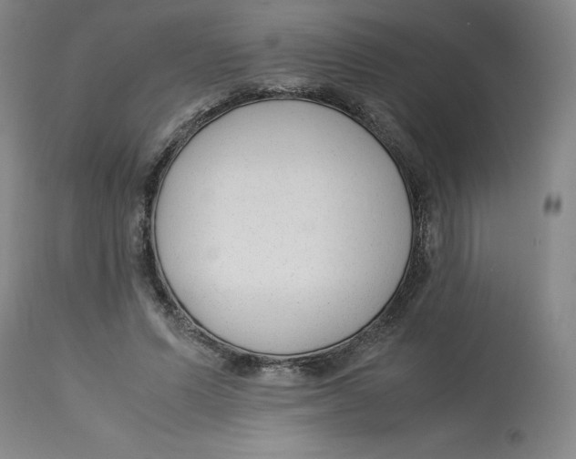 X0000113150591200910021504