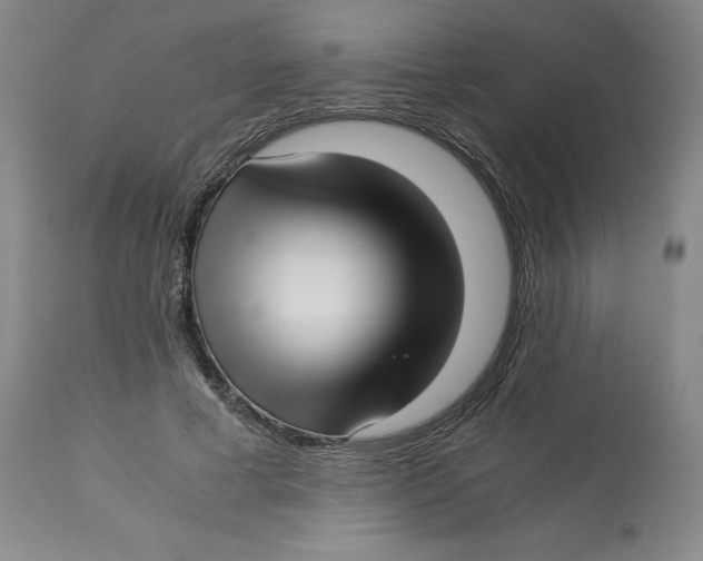 X0000113150593200910021504