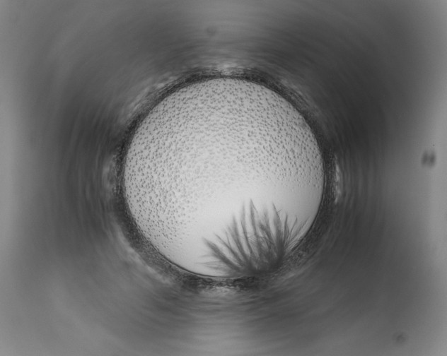 X0000113150594200910021504