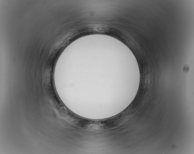 X0000113150595200910021504