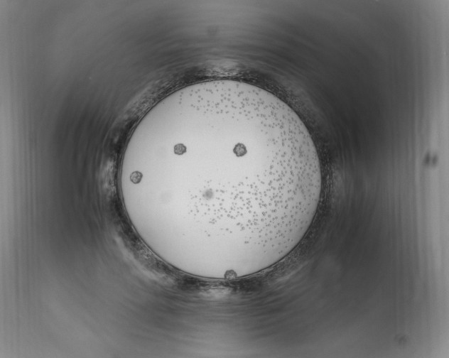 X0000113150598200910021504