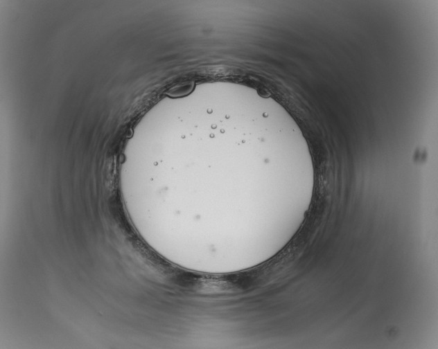 X0000113150605200910021504