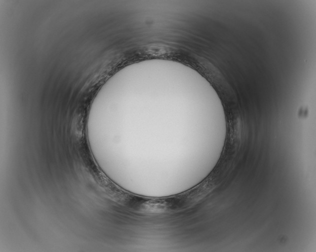 X0000113150606200910021504