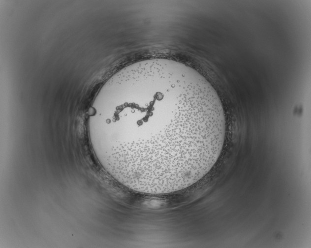 X0000113150610200910021504