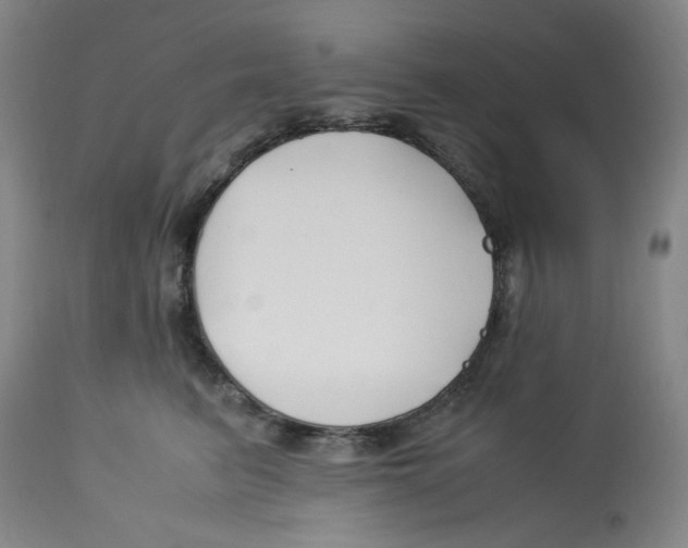 X0000113150615200910021504