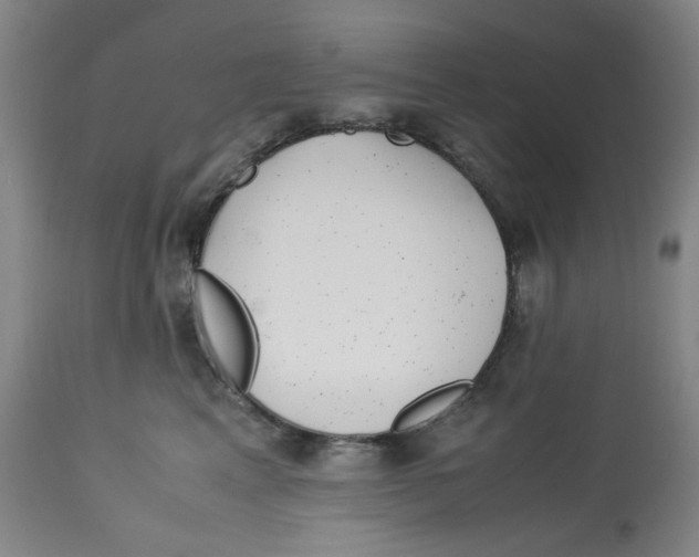 X0000113150617200910021504