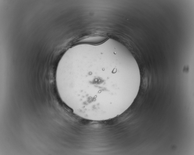 X0000113150620200910021504