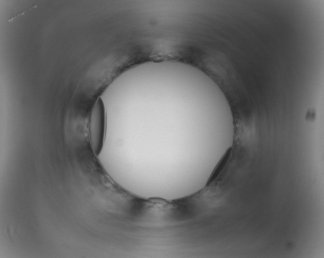 X0000113150621200910021504