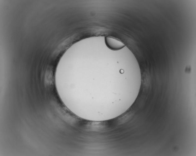 X0000113150622200910021504