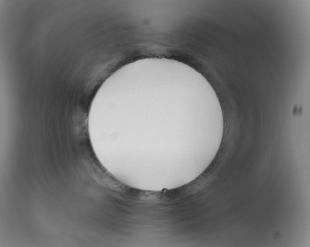 X0000113150624200910021504