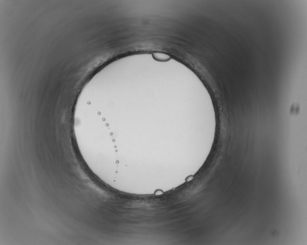 X0000113150625200910021503