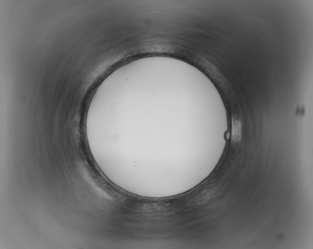 X0000113150627200910021503