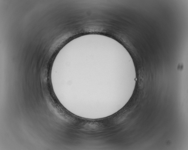 X0000113150631200910021503