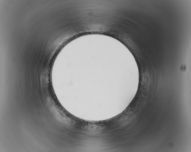 X0000113150632200910021503