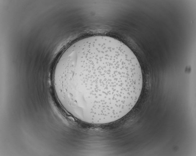 X0000113150634200910021503