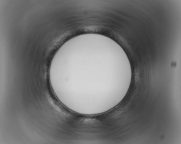 X0000113150637200910021503