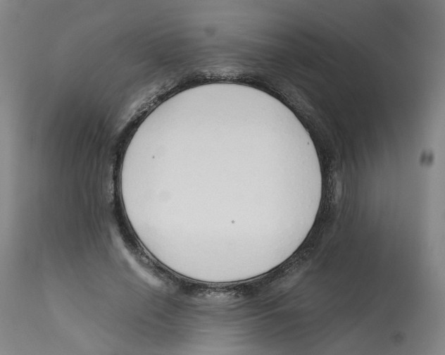 X0000113150638200910021503