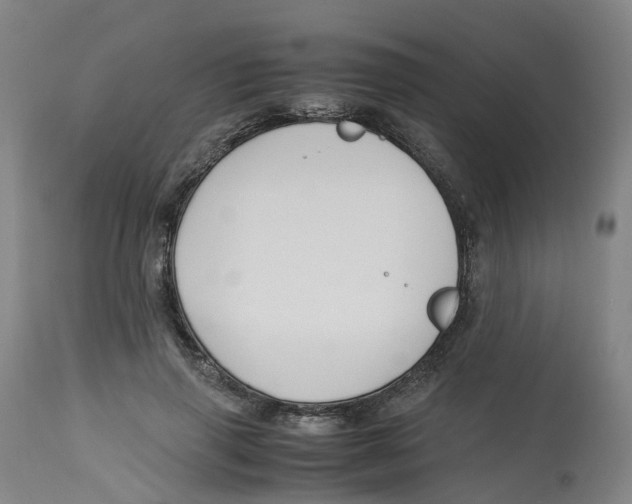 X0000113150645200910021503