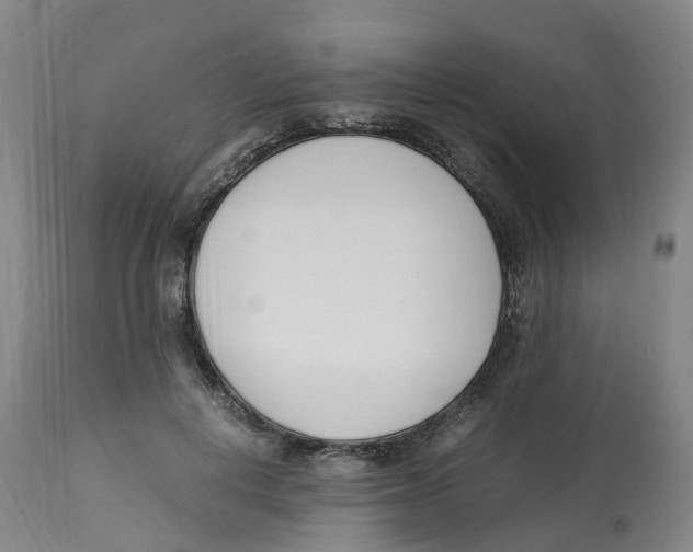 X0000113150648200910021503