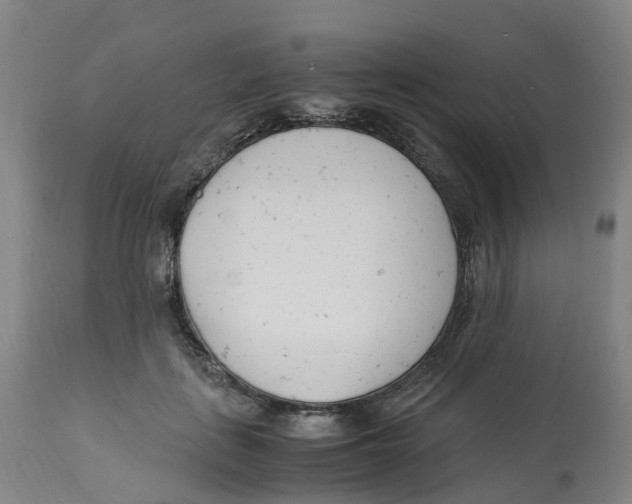 X0000113150651200910021503