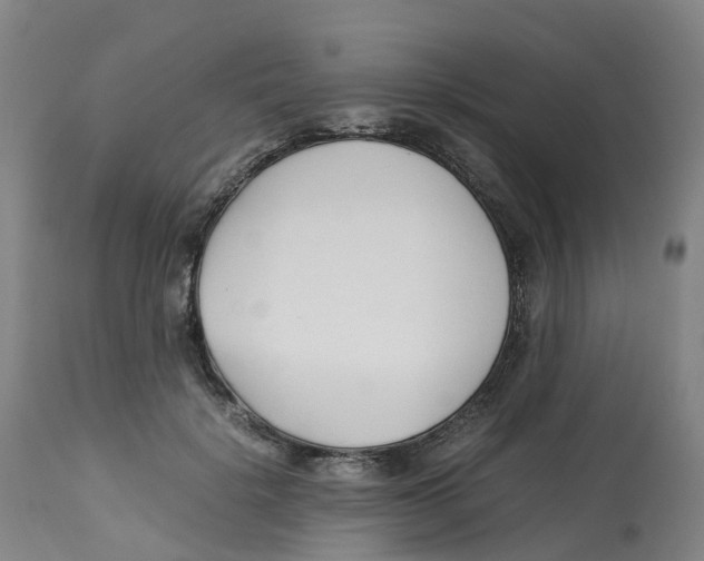 X0000113150652200910021503