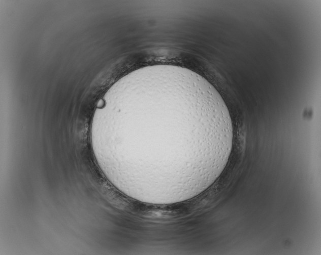 X0000113150657200910021503