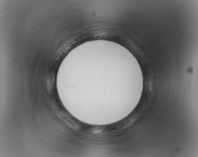 X0000113150660200910021503