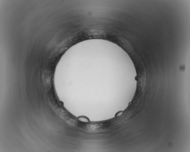 X0000113150662200910021503