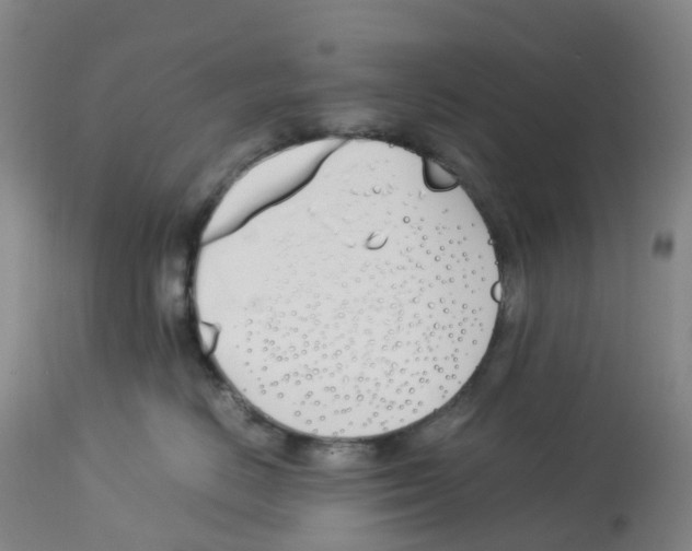 X0000113150670200910021504