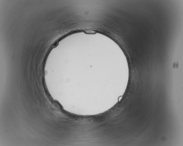 X0000113150673200910021503