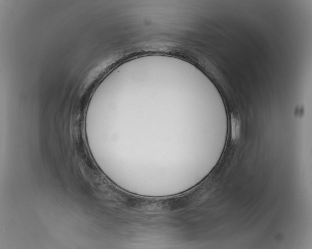 X0000113150675200910021503