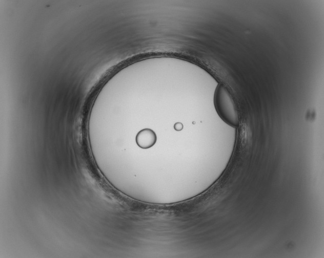 X0000113150676200910021503