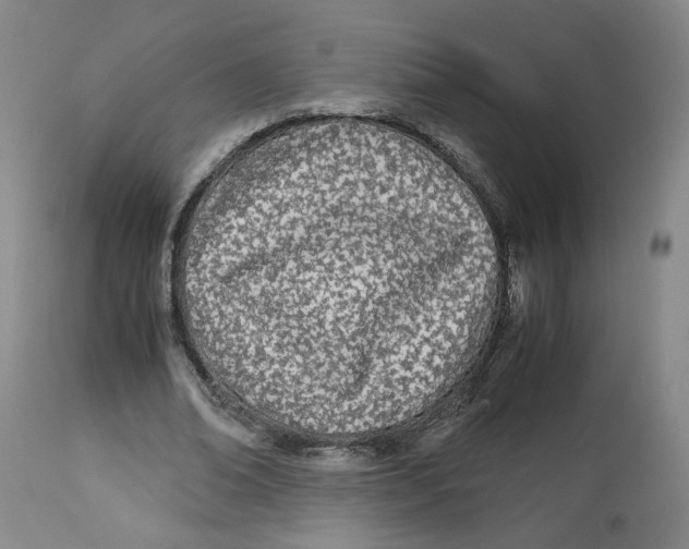 X0000113150678200910021503