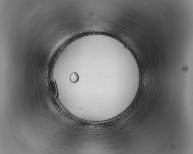 X0000113150680200910021503