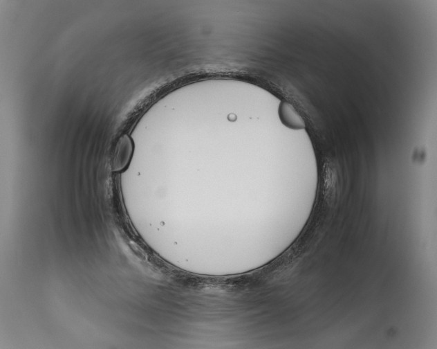 X0000113150684200910021503