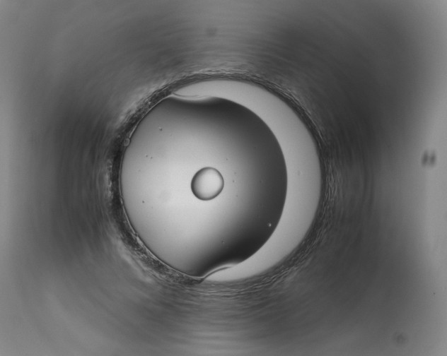 X0000113150688200910021502