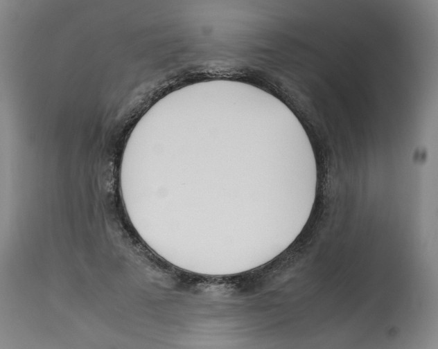 X0000113150689200910021502