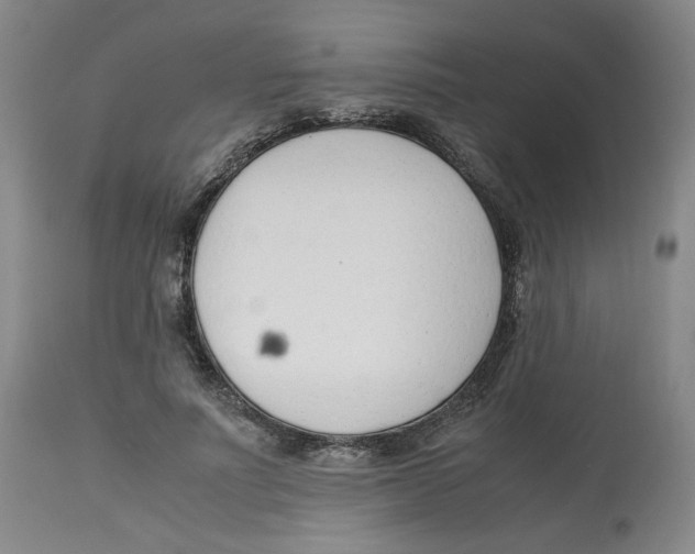 X0000113150691200910021502