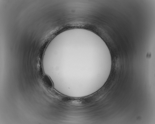 X0000113150692200910021502