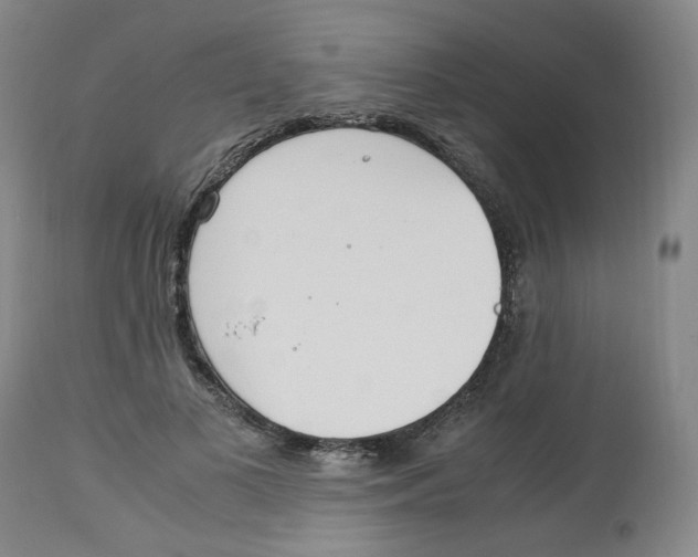 X0000113150693200910021502