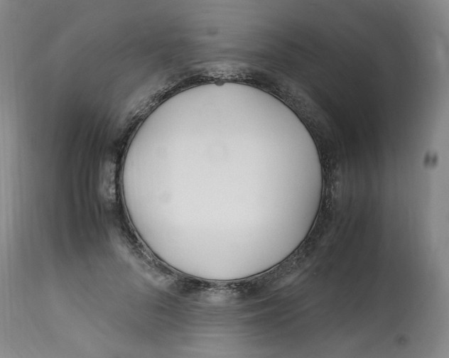 X0000113150696200910021502