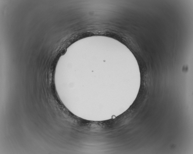 X0000113150697200910021502