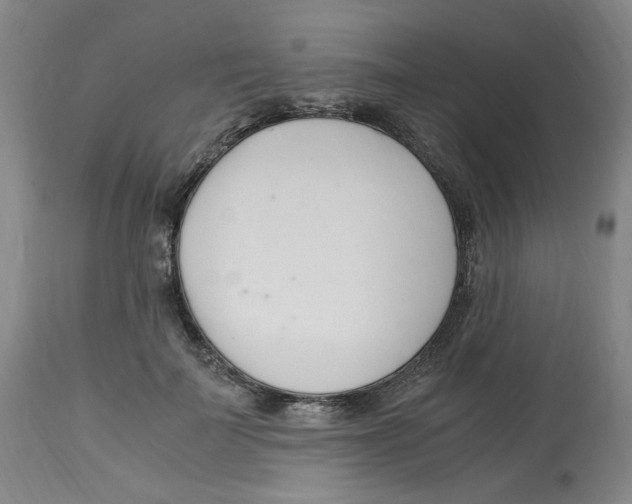 X0000113150699200910021502