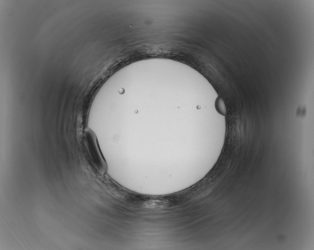 X0000113150700200910021502