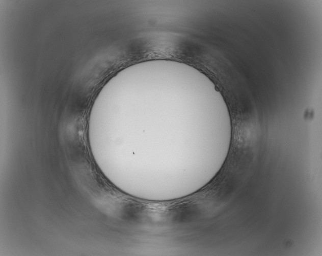 X0000113150701200910021502